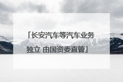 长安汽车等汽车业务独立 由国资委直管