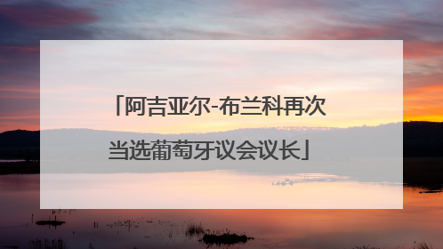 阿吉亚尔-布兰科再次当选葡萄牙议会议长