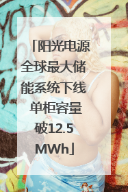阳光电源全球最大储能系统下线 单柜容量破12.5MWh
