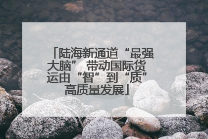 陆海新通道“最强大脑” 带动国际货运由“智”到“质”高质量发展