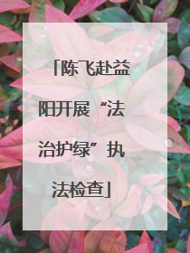 陈飞赴益阳开展“法治护绿”执法检查