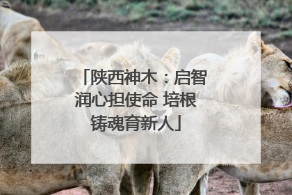 陕西神木：启智润心担使命 培根铸魂育新人