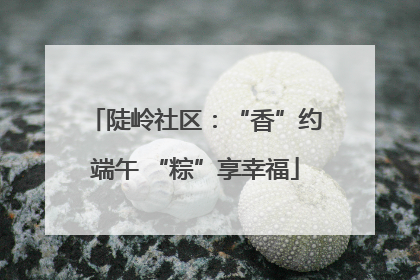 陡岭社区：“香”约端午 “粽”享幸福