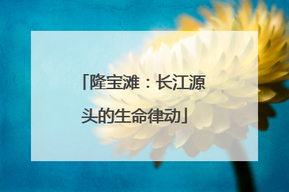 隆宝滩：长江源头的生命律动