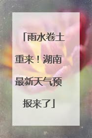 雨水卷土重来！湖南最新天气预报来了