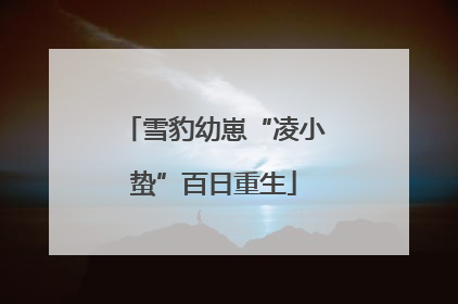 雪豹幼崽“凌小蛰”百日重生