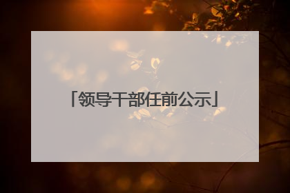 领导干部任前公示