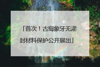 首次！古蜀象牙无灌封材料保护公开展出