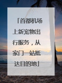 首都机场上新宠物出行服务，从家门一站抵达目的地