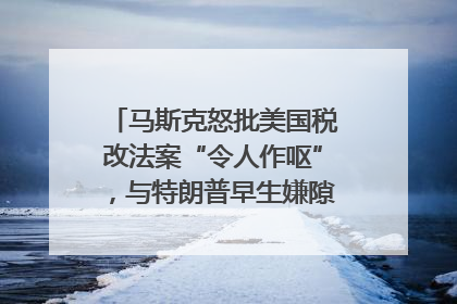 马斯克怒批美国税改法案“令人作呕”，与特朗普早生嫌隙？｜国际识局