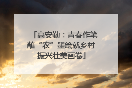 高安勤：青春作笔蘸“农”墨绘就乡村振兴壮美画卷