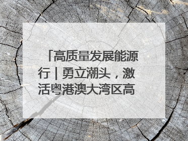 高质量发展能源行｜勇立潮头，激活粤港澳大湾区高质量发展动力源