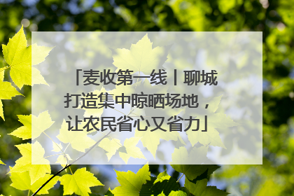 麦收第一线丨聊城打造集中晾晒场地，让农民省心又省力
