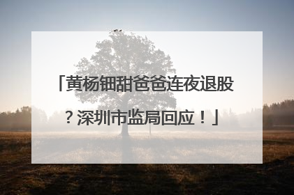 黄杨钿甜爸爸连夜退股？深圳市监局回应！