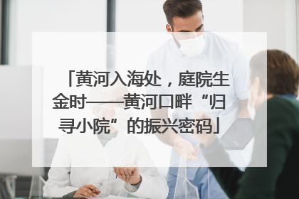黄河入海处，庭院生金时——黄河口畔“归寻小院”的振兴密码