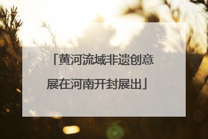 黄河流域非遗创意展在河南开封展出
