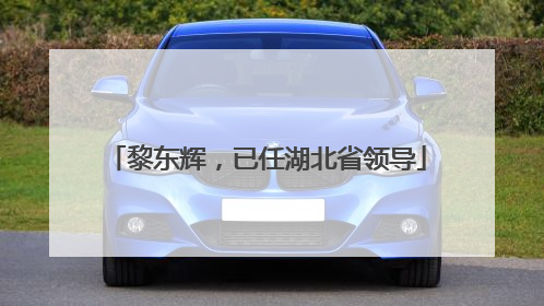 黎东辉，已任湖北省领导