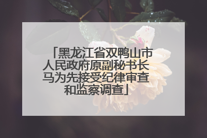 黑龙江省双鸭山市人民政府原副秘书长马为先接受纪律审查和监察调查