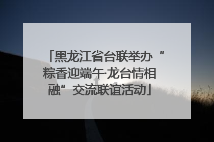 黑龙江省台联举办“粽香迎端午·龙台情相融”交流联谊活动