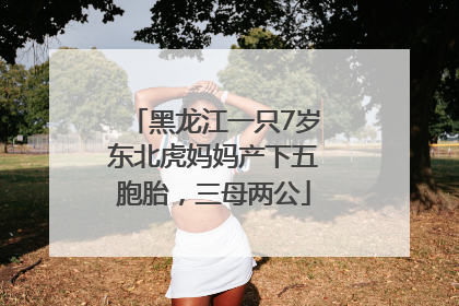 黑龙江一只7岁东北虎妈妈产下五胞胎，三母两公