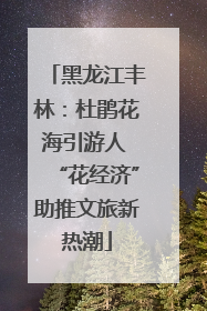 黑龙江丰林：杜鹃花海引游人 “花经济”助推文旅新热潮