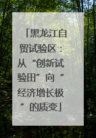 黑龙江自贸试验区：从“创新试验田”向“经济增长极”的质变