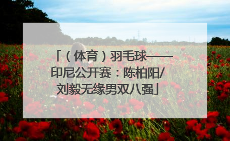 （体育）羽毛球——印尼公开赛：陈柏阳/刘毅无缘男双八强