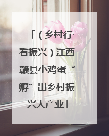 （乡村行·看振兴）江西赣县小鸡蛋“孵”出乡村振兴大产业