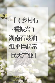 （乡村行·看振兴）湖南石鼓油纸伞撑起富民大产业