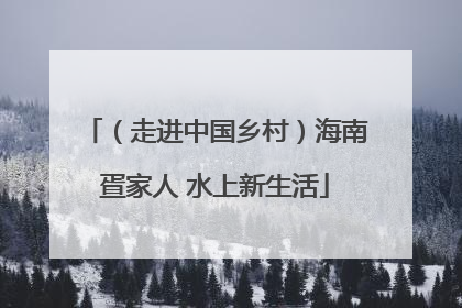 （走进中国乡村）海南疍家人 水上新生活