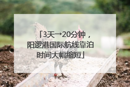 3天→20分钟，阳逻港国际航线靠泊时间大幅缩短