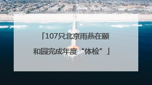 107只北京雨燕在颐和园完成年度“体检”