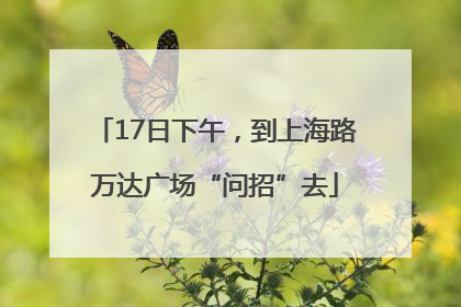17日下午，到上海路万达广场“问招”去