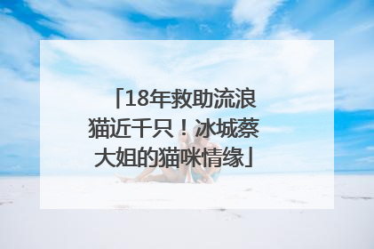 18年救助流浪猫近千只！冰城蔡大姐的猫咪情缘