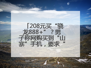 208元买“骁龙888+”？男子称网购买到“山寨”手机，要求“退一赔三”遭拒
