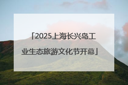 2025上海长兴岛工业生态旅游文化节开幕