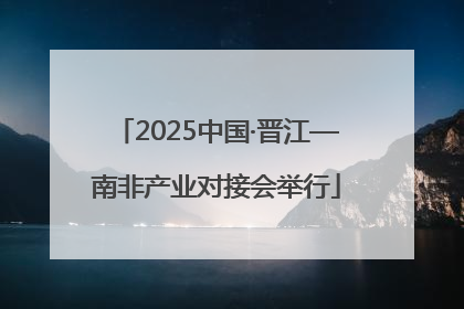 2025中国·晋江—南非产业对接会举行