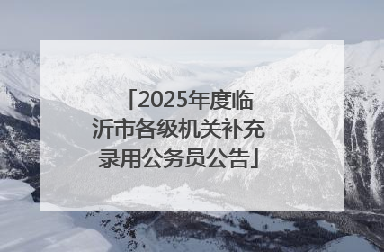 2025年度临沂市各级机关补充录用公务员公告