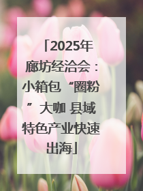 2025年廊坊经洽会：小箱包“圈粉”大咖 县域特色产业快速出海