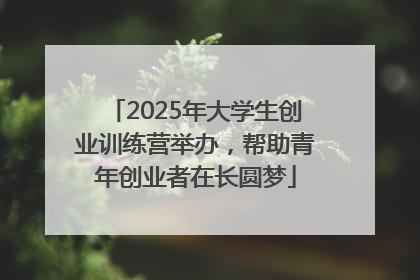 2025年大学生创业训练营举办，帮助青年创业者在长圆梦