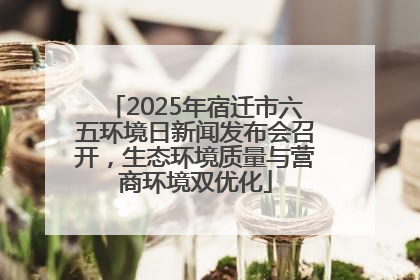 2025年宿迁市六五环境日新闻发布会召开，生态环境质量与营商环境双优化