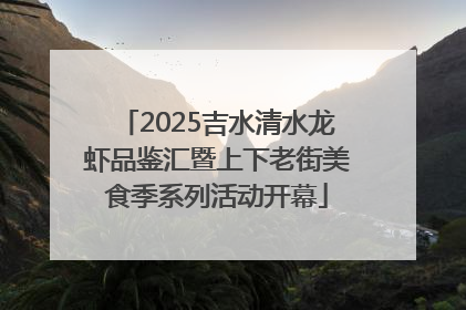 2025吉水清水龙虾品鉴汇暨上下老街美食季系列活动开幕