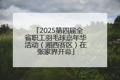 2025第四届全省职工羽毛球嘉年华活动（湘西赛区）在张家界开幕