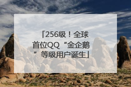 256级！全球首位QQ“金企鹅”等级用户诞生