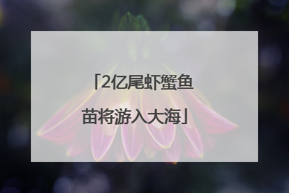 2亿尾虾蟹鱼苗将游入大海