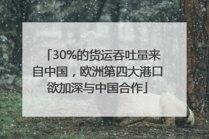 30%的货运吞吐量来自中国，欧洲第四大港口欲加深与中国合作