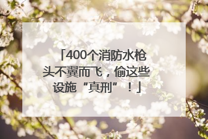 400个消防水枪头不翼而飞，偷这些设施“真刑”！