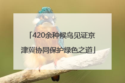 420余种候鸟见证京津冀协同保护绿色之道
