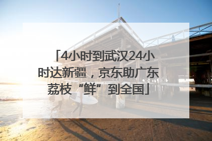4小时到武汉24小时达新疆，京东助广东荔枝“鲜”到全国