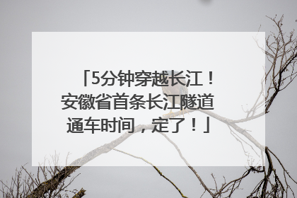 5分钟穿越长江！安徽省首条长江隧道通车时间，定了！